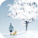忘雪中文版