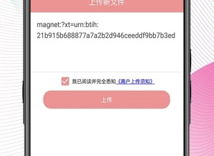 高效的磁力搜索引擎app合集