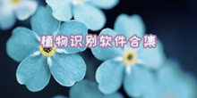 植物识别软件合集