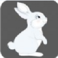 兔妹直播免费版