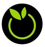 黄家影院无码版