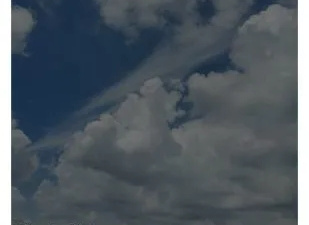 和向日葵视频很像的app合集