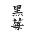 黑莓小说无广告版