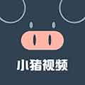 小猪视频中文版