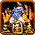 三国志三圣剑(无限时间)