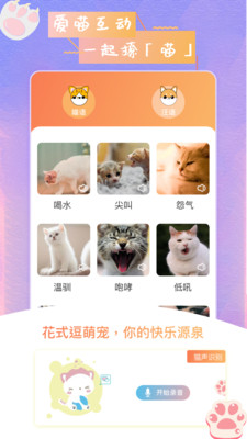 猫狗语翻译器