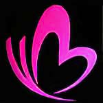 粉蝶视频完整版