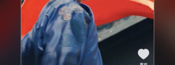 免费看肖总的小宠妻短剧的app合集