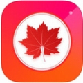 红叶直播无限制版