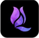 午夜兰花直播vip版