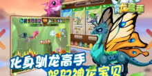 巨龙养成