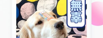 烧烤摊经营手游排行榜