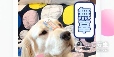 美食烧烤手游合集