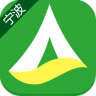 掌上驾培