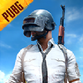 pubg绝地求生轻量版