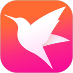 迅雷直播免费版