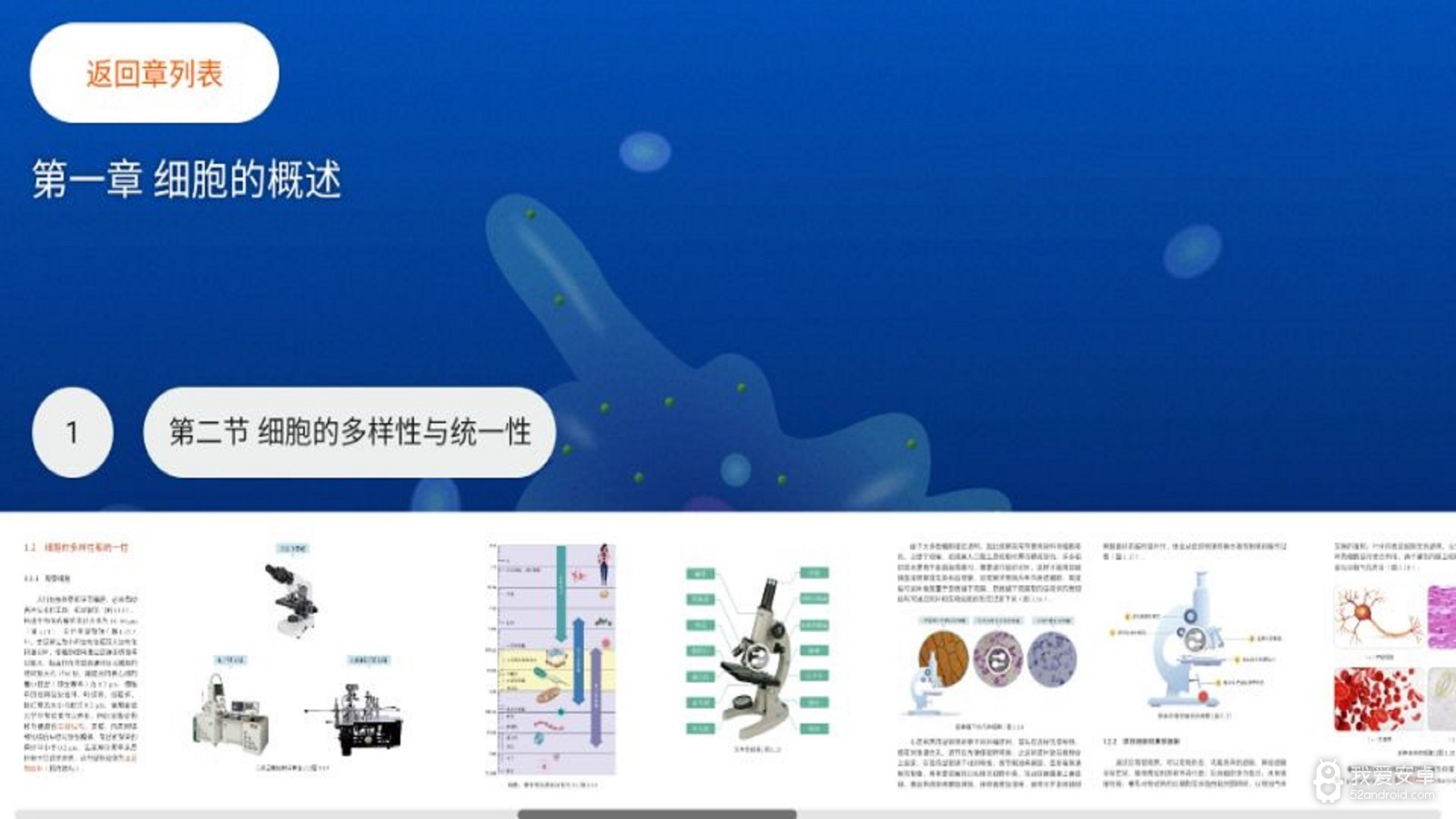 分子与细胞