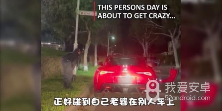 像月兔短视频这样的app合集