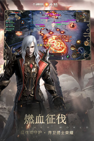 新神魔大陆完美世界版