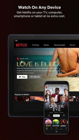 网飞netflix电视版