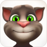 会说话的汤姆猫情人节版
