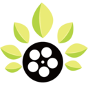 叶子影视永久vip破解版