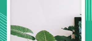 专门存宝宝照片的app合集