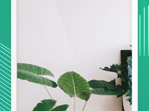 专门存宝宝照片的app合集