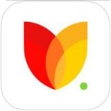 花秀直播免费版