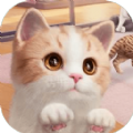 我和我的猫免费版