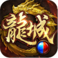 傲世龙城三职业