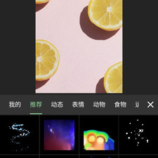 熊猫视频全版本app合集