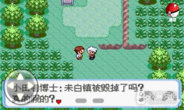 口袋妖怪蛇纹木作弊版
