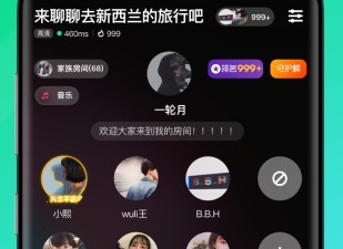 声音交友app合集