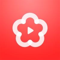 梅花视频免费会员版