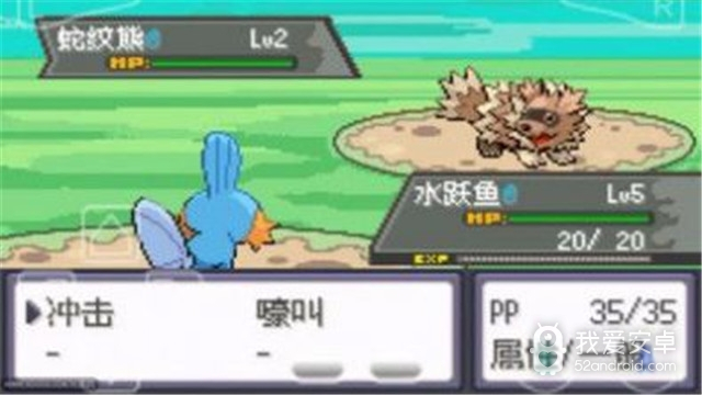 口袋妖怪绿宝石小遥版