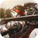 名将无双更新版