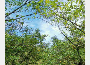 和一库视频同款的app合集