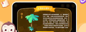 写程序的app合集