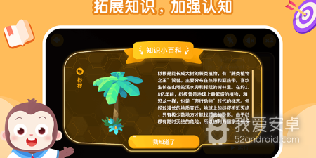 写程序的app合集