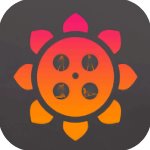 xrk向日葵无限次数版