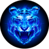 四虎影视(永久免费)