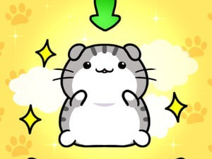 跟猫咪公寓2一样的手游合集