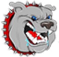 疯狗电影永久免费版