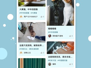 和猫咪小视频很像的app合集