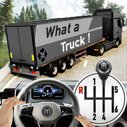 模拟大巴停车
