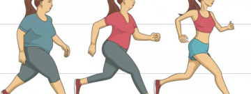 安卓减肥app合集