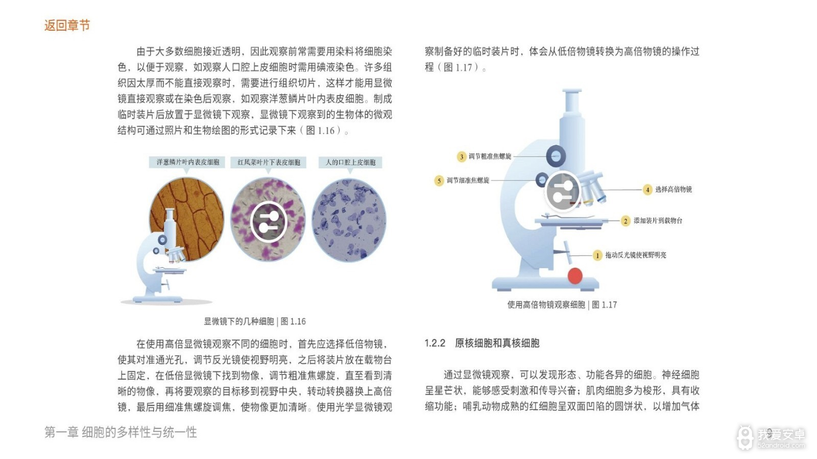 分子与细胞