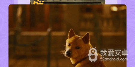 和花季差不多的app合集