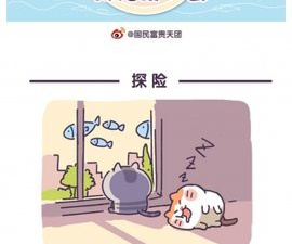 动漫酱app合集